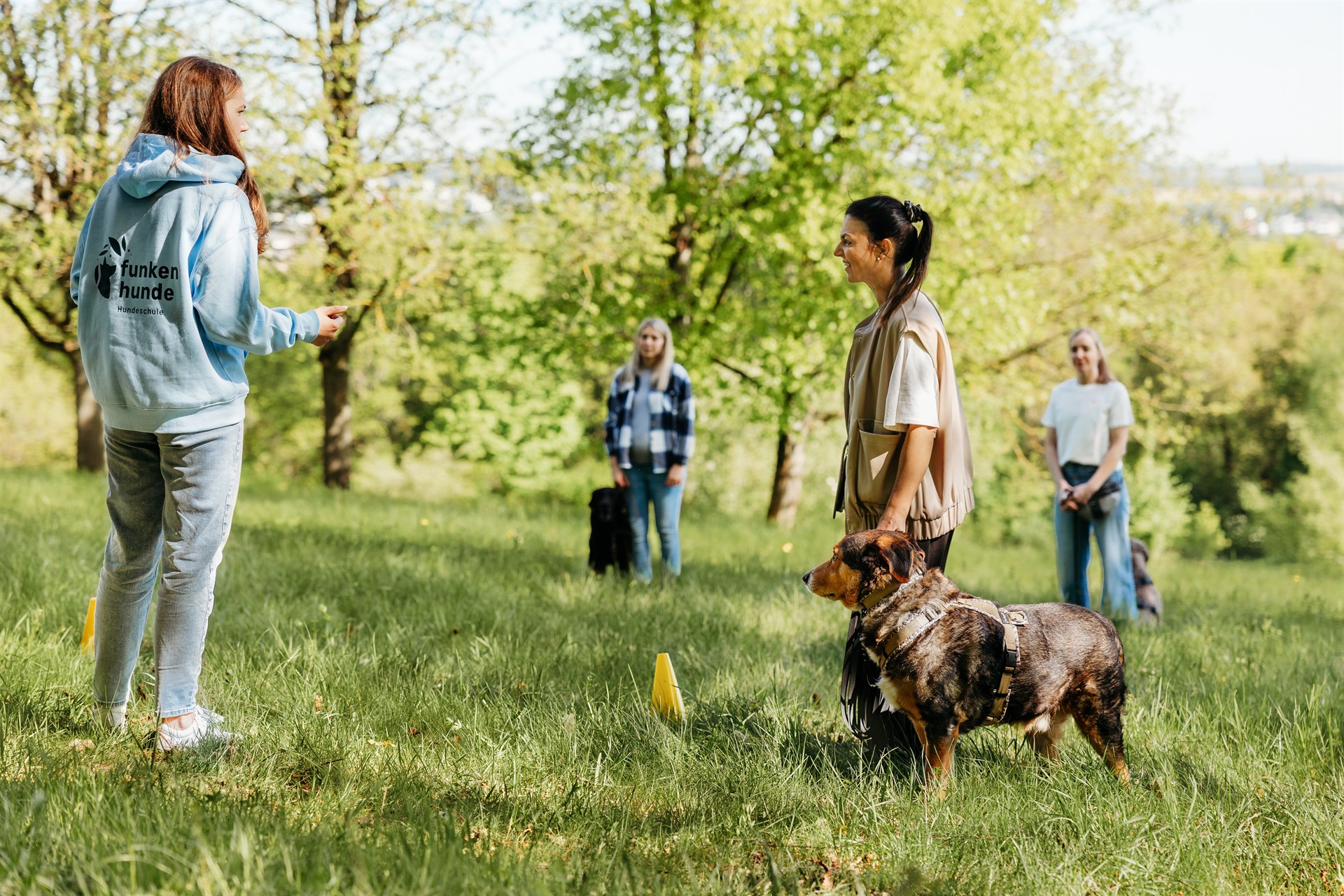 Mehrere Personen stehen mit ihren Hunden auf einer grünen Wiese. Eine Person in hellblauen Hoody steht vor der Gruppe und erklärt etwas mit ihren Händen.
